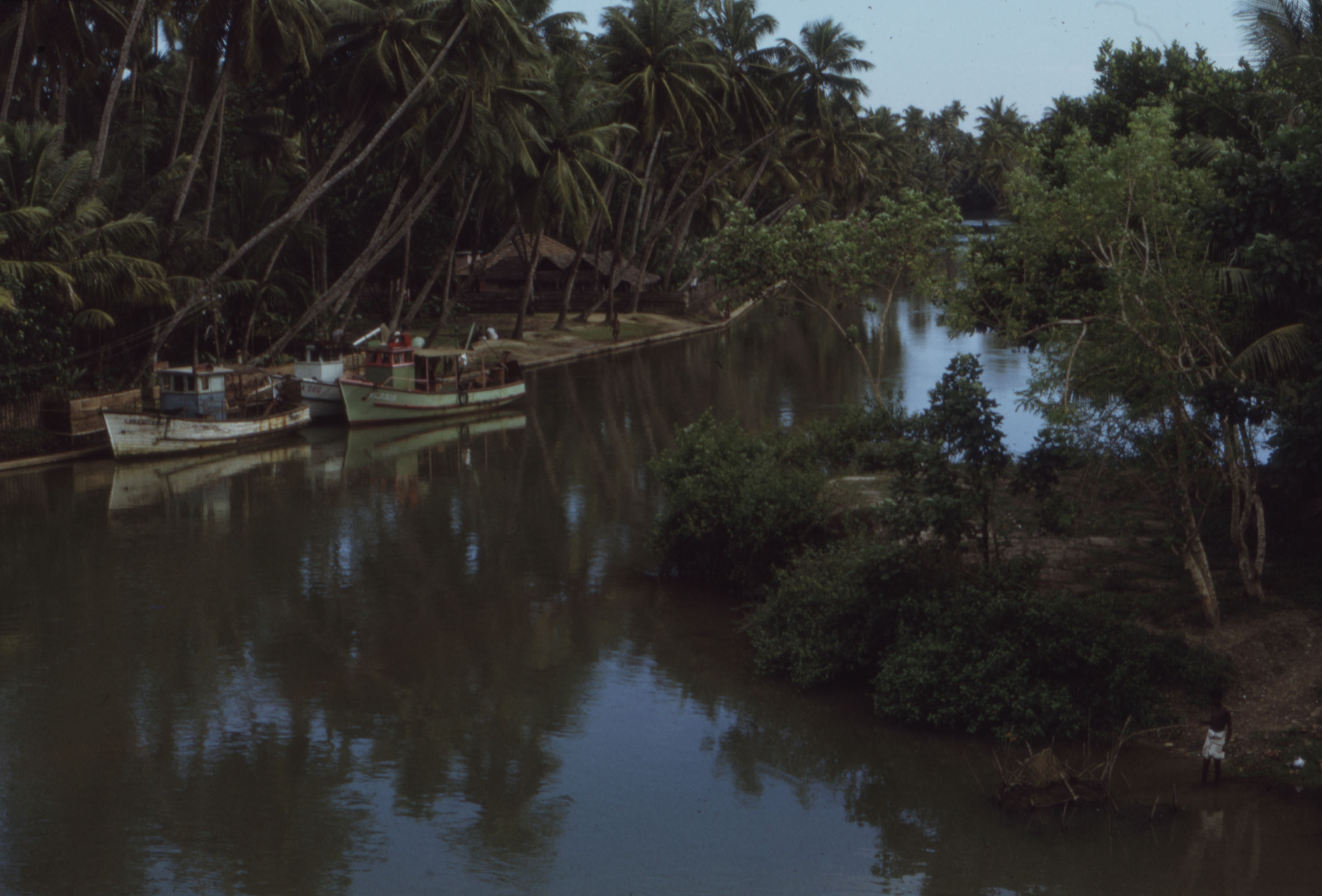 Kerala Lagoon